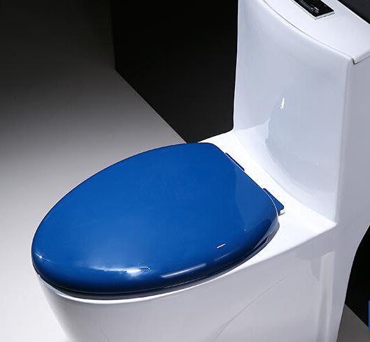 Pokrywa do WC z mikropunktem: wybór, instalacja, naprawa