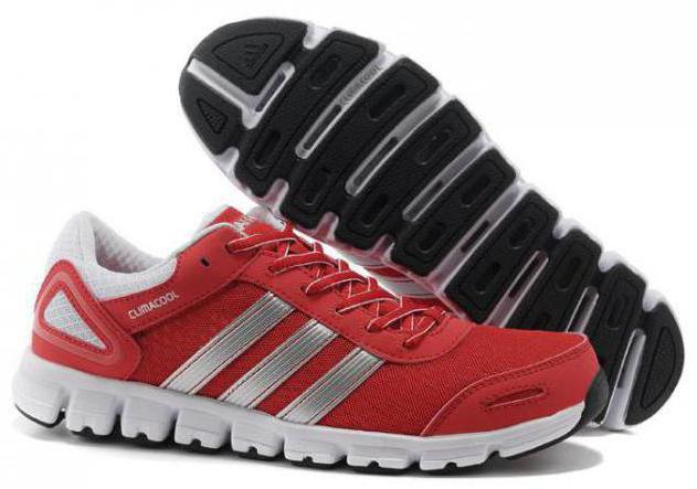 Sneakers Adidas Climacool - sportowe buty, które przynoszą przyjemność