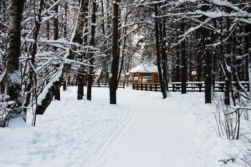 Park Troparewski - południowy zachód od stolicy